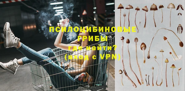 МДПВ Арсеньев
