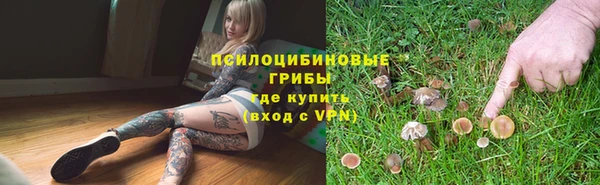 амф Аркадак