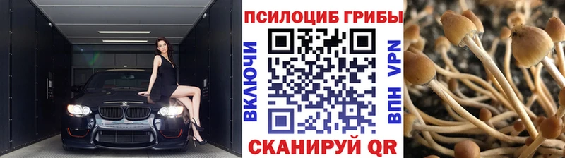 Галлюциногенные грибы прущие грибы  Мензелинск 